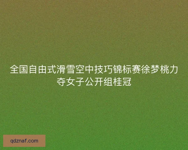全国自由式滑雪空中技巧锦标赛徐梦桃力夺女子公开组桂冠